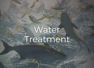 Compressor equipment for water treatment and recycling industry